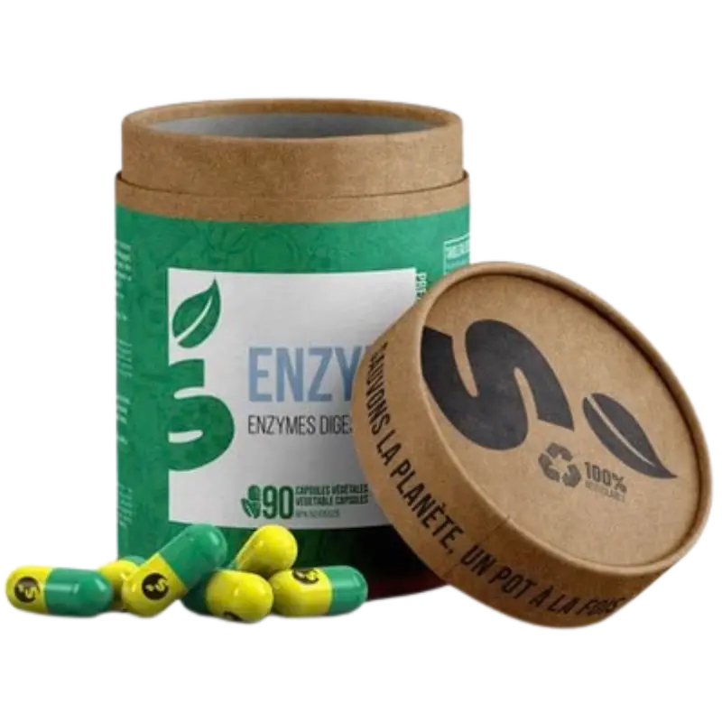 Enzymes digestives